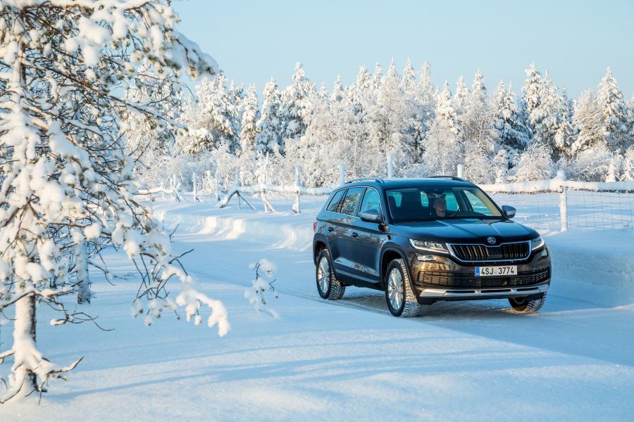  Skoda Kodiaq Scout 2017 года  (WW) (фото 23 из 61)